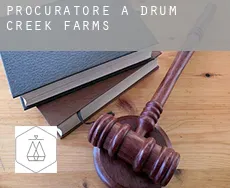 Procuratore a  Drum Creek Farms