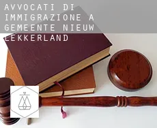 Avvocati di immigrazione a  Gemeente Nieuw-Lekkerland