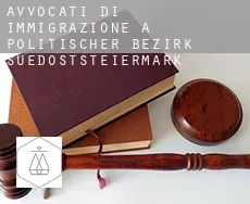 Avvocati di immigrazione a Politischer Bezirk Suedoststeiermark