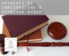 Avvocati di immigrazione a  Roxburgh Hydro