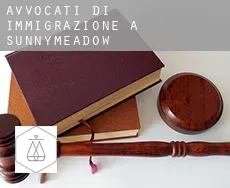 Avvocati di immigrazione a  Sunnymeadow