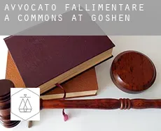 Avvocato fallimentare a  Commons at Goshen