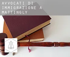Avvocati di immigrazione a  Mattingly