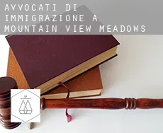 Avvocati di immigrazione a  Mountain View Meadows