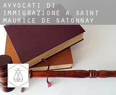 Avvocati di immigrazione a Saint-Maurice-de-Satonnay