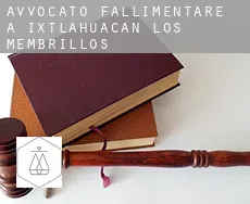Avvocato fallimentare a Ixtlahuacán de los Membrillos