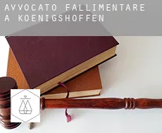 Avvocato fallimentare a  Koenigshoffen