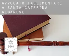 Avvocato fallimentare a Santa Caterina Albanese