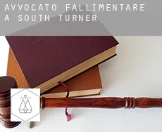 Avvocato fallimentare a  South Turner