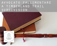 Avvocato fallimentare a  Timberland Trail Subdivision