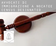 Avvocati di immigrazione a  Nocatee