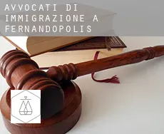 Avvocati di immigrazione a  Fernandópolis