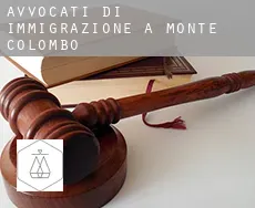 Avvocati di immigrazione a  Monte Colombo