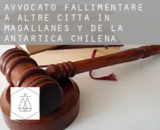 Avvocato fallimentare a  Altre città in Magallanes y de la Antartica Chilena
