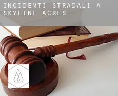 Incidenti stradali a  Skyline Acres