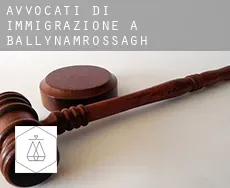 Avvocati di immigrazione a  Ballynamrossagh