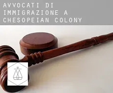 Avvocati di immigrazione a  Chesopeian Colony