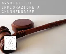 Avvocati di immigrazione a  Chunnenuggee
