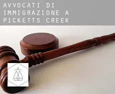 Avvocati di immigrazione a Picketts Creek