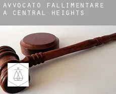 Avvocato fallimentare a  Central Heights