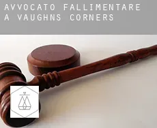 Avvocato fallimentare a Vaughns Corners