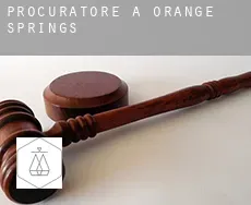 Procuratore a  Orange Springs