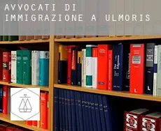 Avvocati di immigrazione a  Ulmoris