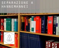 Separazione a  Hannemannei