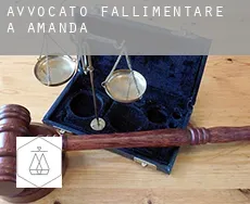 Avvocato fallimentare a  Amanda
