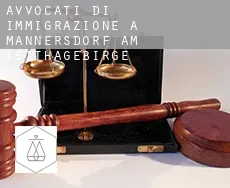 Avvocati di immigrazione a Mannersdorf am Leithagebirge
