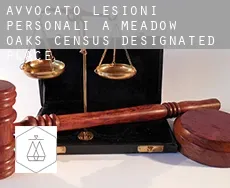 Avvocato lesioni personali a  Meadow Oaks