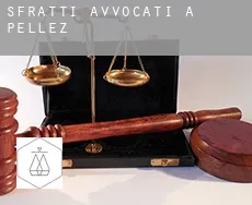 Sfratti avvocati a  Pellez