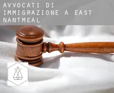 Avvocati di immigrazione a  East Nantmeal