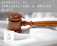 Avvocati di immigrazione a  Greens Bluff