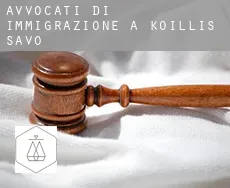 Avvocati di immigrazione a Koillis-Savo