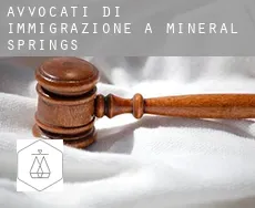 Avvocati di immigrazione a  Mineral Springs