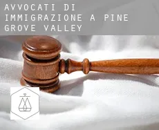 Avvocati di immigrazione a  Pine Grove Valley