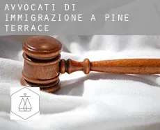 Avvocati di immigrazione a  Pine Terrace