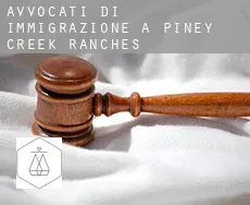 Avvocati di immigrazione a  Piney Creek Ranches
