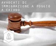 Avvocati di immigrazione a Poggio a Caiano