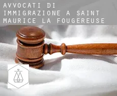 Avvocati di immigrazione a  Saint-Maurice-la-Fougereuse
