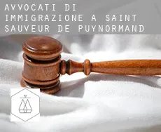 Avvocati di immigrazione a  Saint-Sauveur-de-Puynormand