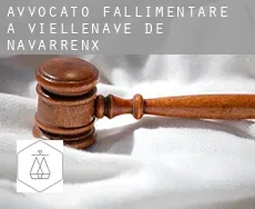 Avvocato fallimentare a  Viellenave-de-Navarrenx
