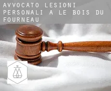 Avvocato lesioni personali a Le Bois du Fourneau