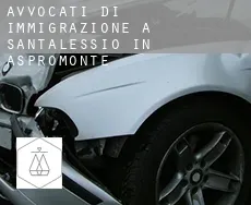 Avvocati di immigrazione a Sant'Alessio in Aspromonte