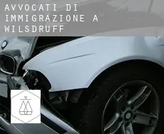 Avvocati di immigrazione a  Wilsdruff