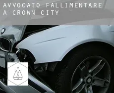Avvocato fallimentare a  Crown City