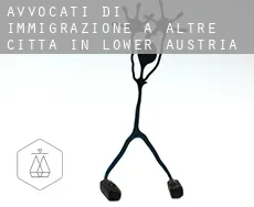Avvocati di immigrazione a Altre città in Lower Austria