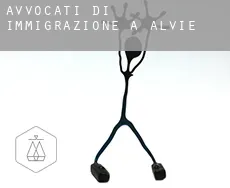 Avvocati di immigrazione a Alvie