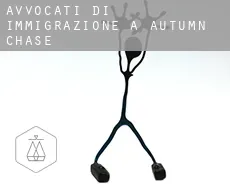 Avvocati di immigrazione a Autumn Chase